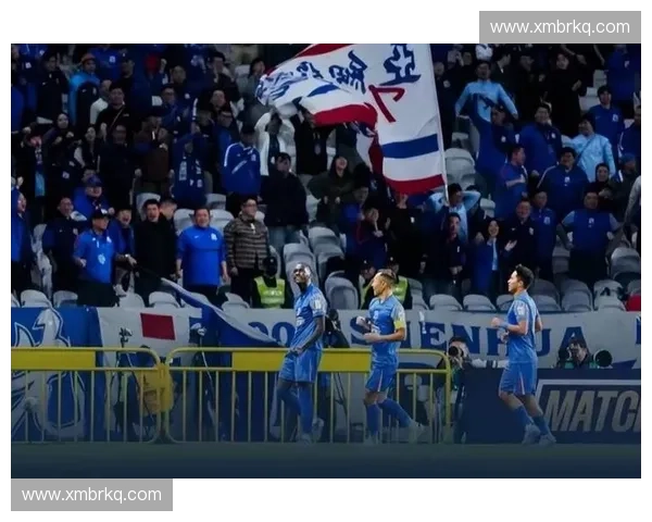 聚焦2017中国足球联赛赛季发展及球队表现深度解析与前景展望