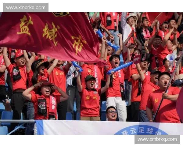 南京足球联赛激活城市体育活力推动青训发展促进全民参与竞技